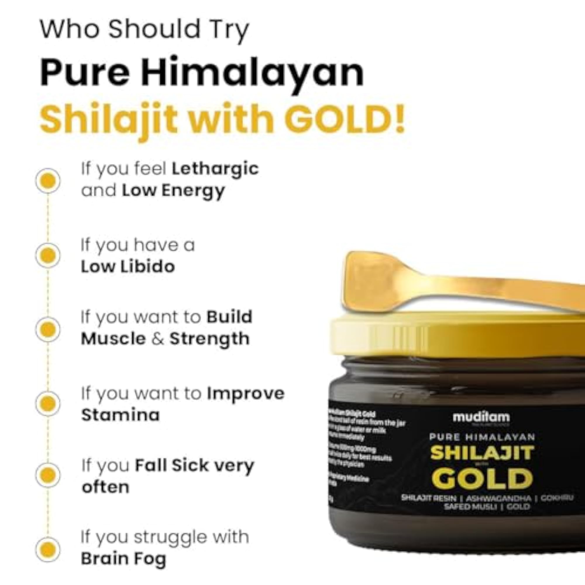 Himalayan Shilajit Resin 20g